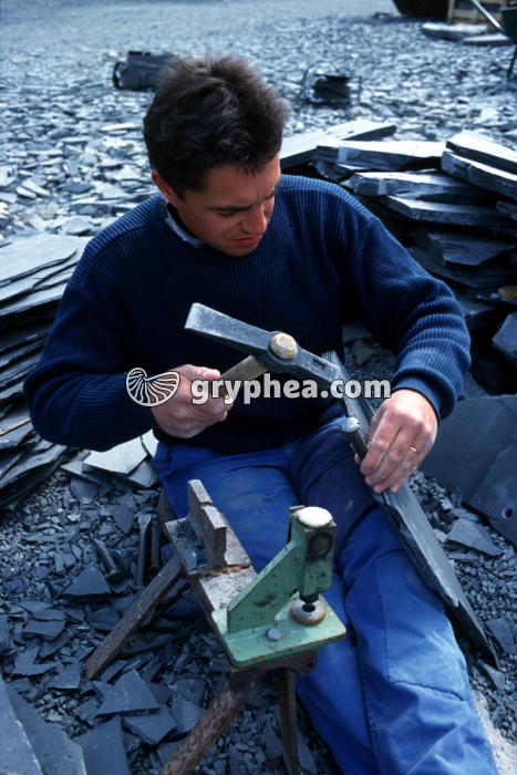 Travail de l'ardoise - gryphea.com